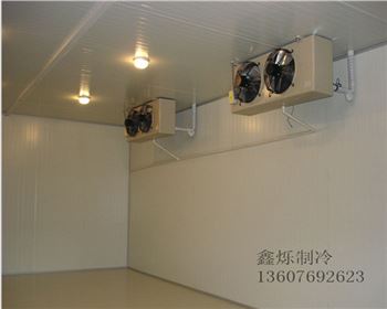 建造中冷庫(kù)門安裝有哪些小技巧呢？